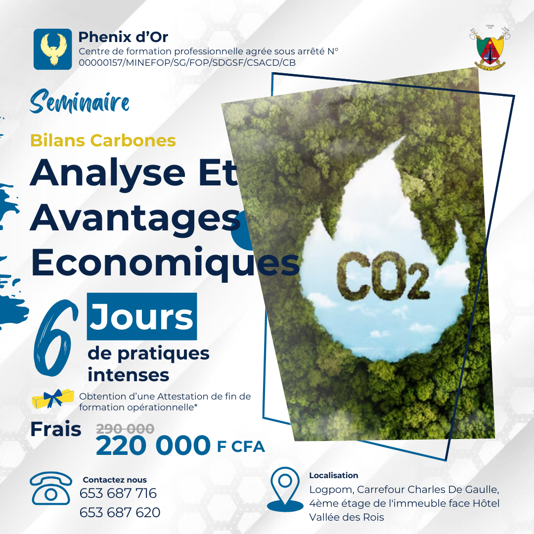 Flyer de la formation: Bilans Carbones: Analyse Et Avantages Economiques